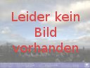 Vorschaubild von 31.03.2023 10:00